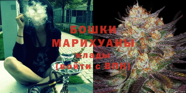 индика Дмитров