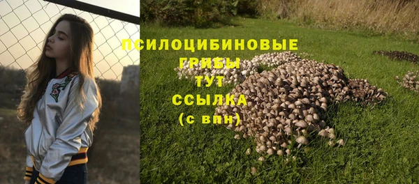 гашишное масло Дмитриев