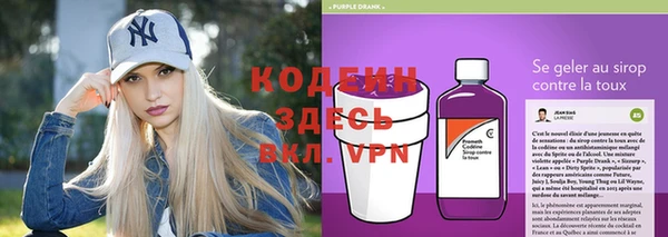 индика Дмитров