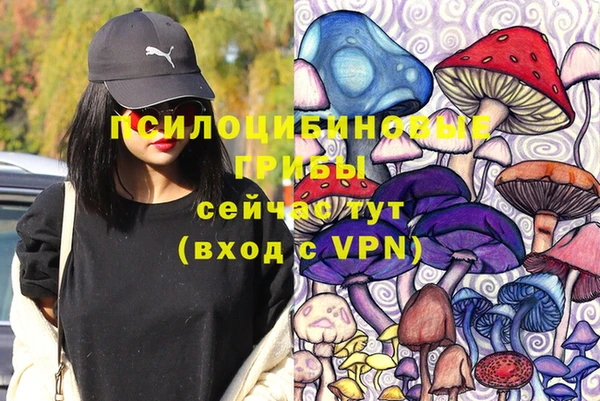 МДПВ Дмитровск