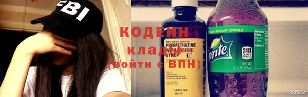индика Дмитров