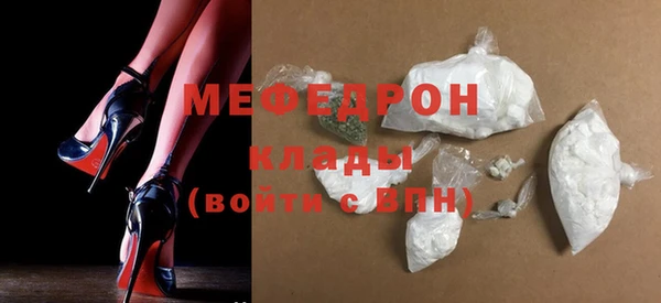 индика Дмитров