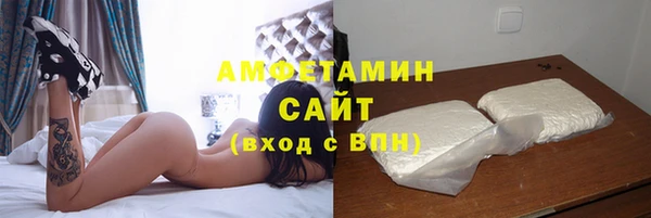 индика Дмитров