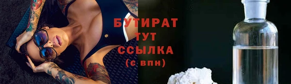 индика Дмитров