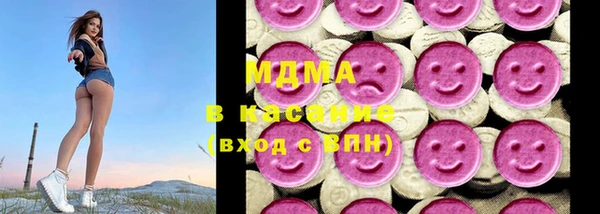индика Дмитров