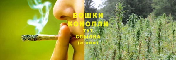 индика Дмитров